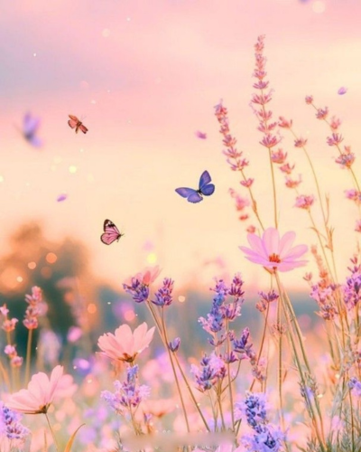 meine 3 säulen für deine transformation